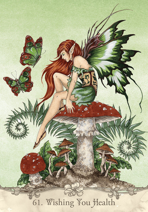 Fairy Wisdom Oracle Card Deck & Guide Book Set by Amy Brown US Games