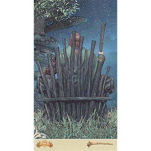 Vice Versa Tarot Deck & Guidebook Set Double-Sided 78 Cards Lo Scarabeo