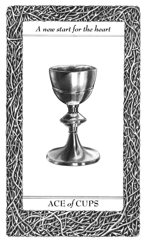 Lieselle's Eternal Tarot Deck 78 Cards & Guidebook by Schiffer New