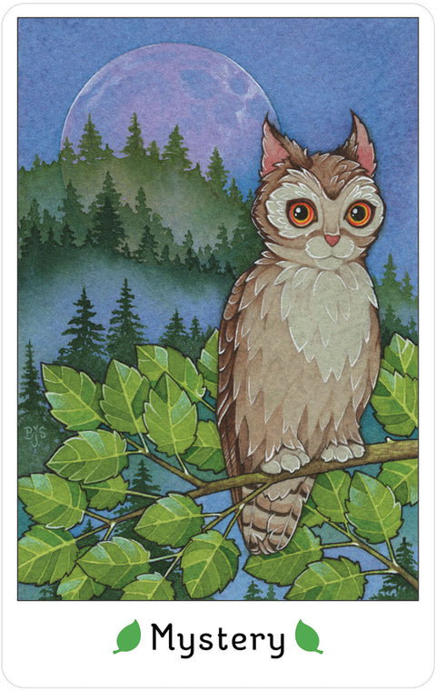 Affirmations Of The Fairy Cats Cards Deck & Book Set US Games Systems Saydak NEW