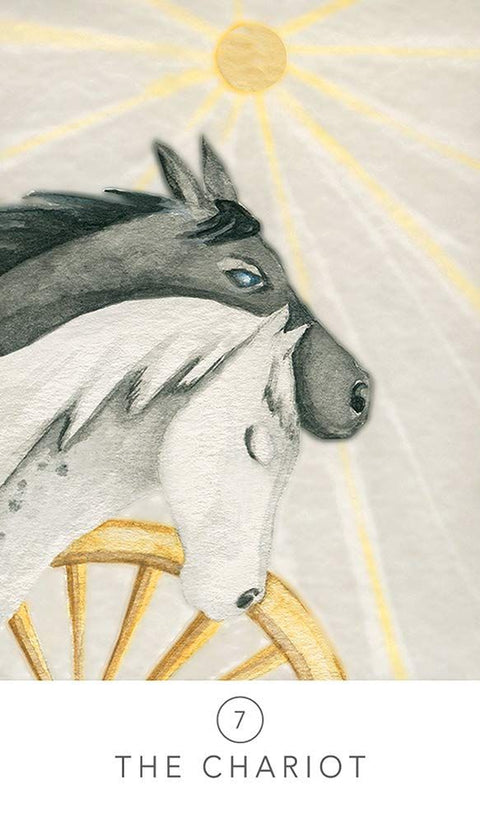 White Sage Tarot Cards Deck By Theresa Hutch US Games Systems