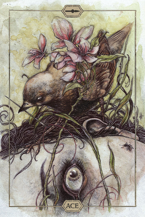 Hush Tarot Deck by Jeremy Hush 78 Cards & Guidebook US Games Systems
