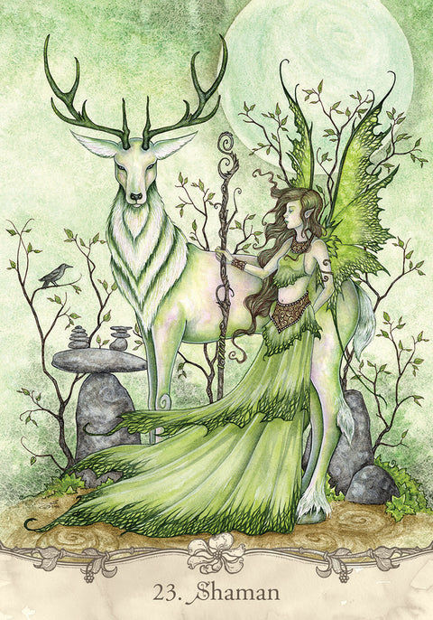 Fairy Wisdom Oracle Card Deck & Guide Book Set by Amy Brown US Games