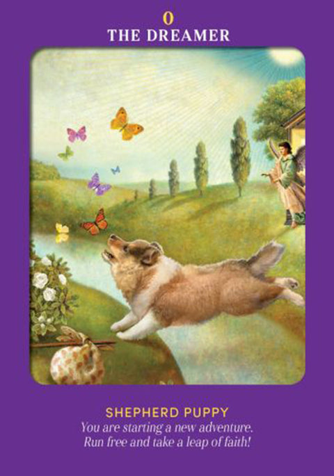 Animal Guides Tarot Cards Deck Radleigh Valentine Divination