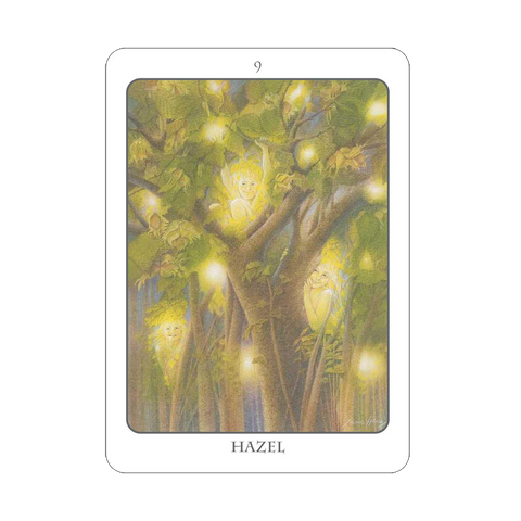 The Tree Angel Oracle Deck And Book Divination Earth Dancer Fred Hageneder NEW