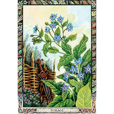 The Druid Plant Oracle Cards & Guidebook Welbeck Publishing