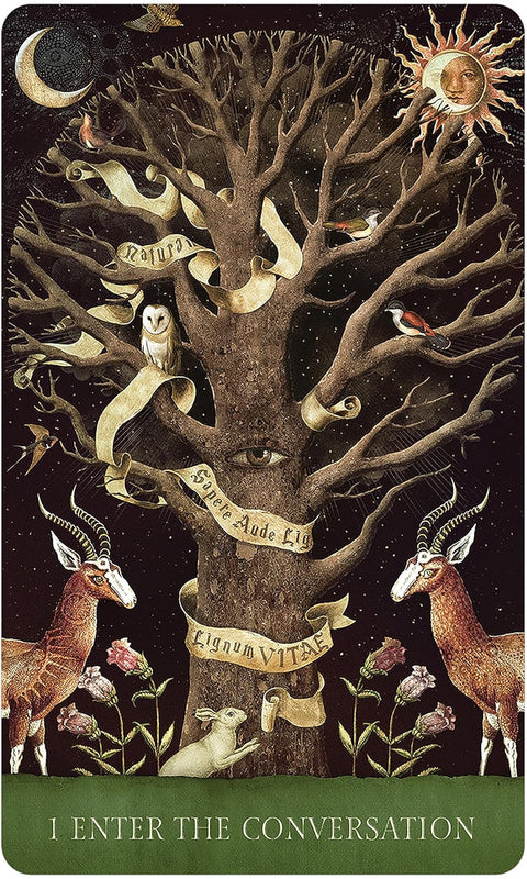 Dream Song Oracle US Games Systems