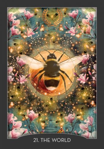 Guardian of the Night Tarot Deck & Signed Guidebook – Animal Spirit Cards