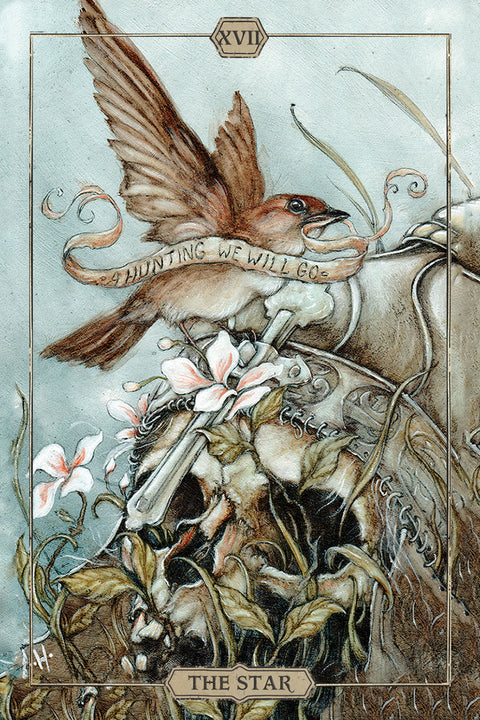 Hush Tarot Deck by Jeremy Hush 78 Cards & Guidebook US Games Systems